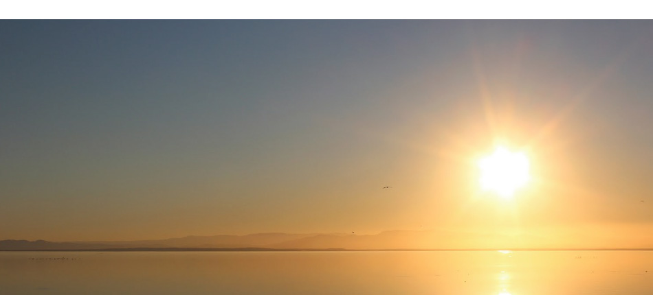 Salton Sea Sunset by Tim Jepson